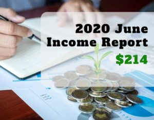 income report june 2020