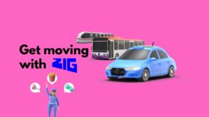 zig app review