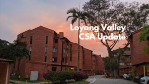 Loyang Valley CSA Update