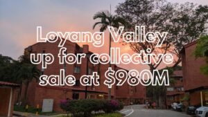 Loyang Valley En Bloc Announcement