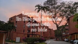 Loyang Valley En Bloc tender closes with no bids