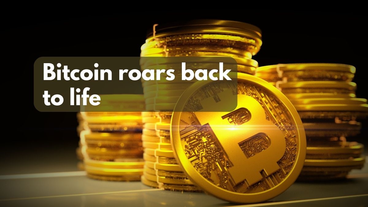 Bitcoin Jan 2023